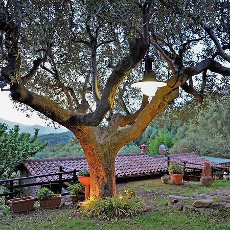Terrazza Degli Angeli Βίλα Ascea Εξωτερικό φωτογραφία