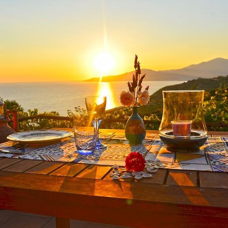 Terrazza Degli Angeli Βίλα Ascea Εξωτερικό φωτογραφία