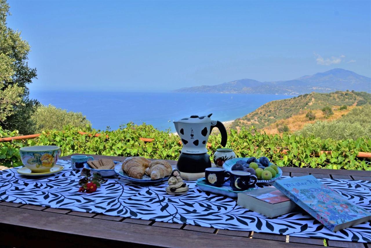Terrazza Degli Angeli Βίλα Ascea Εξωτερικό φωτογραφία