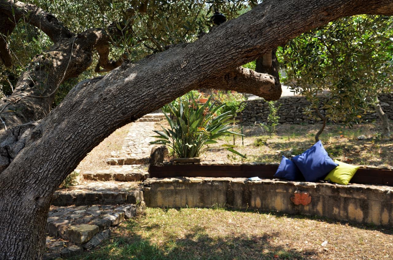 Terrazza Degli Angeli Βίλα Ascea Εξωτερικό φωτογραφία